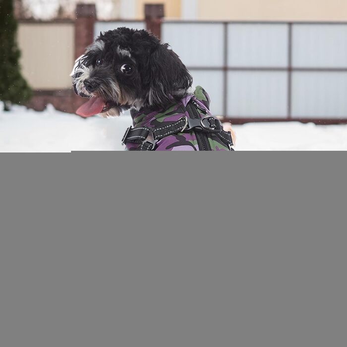 Зимова куртка для собак – 28 x 25 x 3 см, світловідбиваючий зимовий одяг для собак | Жилет з інтегрованим шлейкою, одяг для домашніх тварин зі світловідбиваючими смугами для малих, середніх та великих (M)