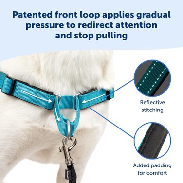 Шлея для собак PetSafe Deluxe Easy Walk, преміум