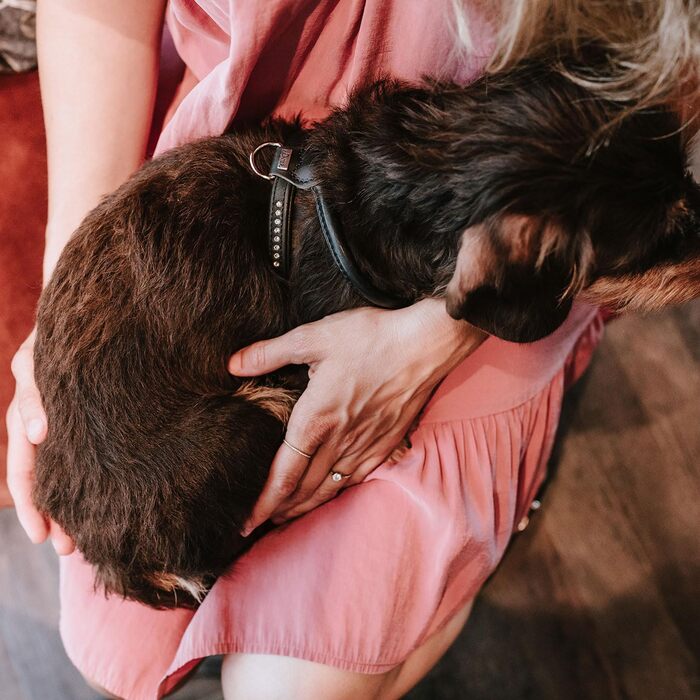 Нашийник для собак HUNTER Round & Soft Canadian UP, чорний, м'яка шкіра, фелл-френдлі, Made in Germany