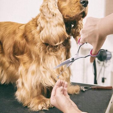 Набір професійних ножиць для собак з безпечним круглим наконечником, для грумінгу та стрижки шерсті. З набором для фінальної обробки. Підходить для собак та котів. Нержавіюча сталь, рожевий колір