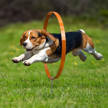 Набір для аджиліті для собак Navaris (3 шт.) - кільця для собак, тренування, аджиліті, посібник для собак, аксесуари для собак, оранжевий