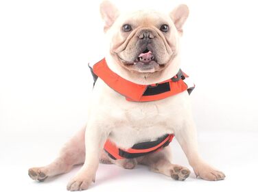 Рятувальний жилет для собак Hifrenchies Французький бульдог, розмір M, дизайн 'Клоун-рибка'
