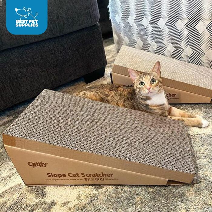 Кігтеточка для котів з котячою м'ятою, 2 шт, Best Pet Supplies Catify