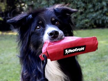 Набір з 3 мішечків для корму NATIV для собак, тренувальний апортний думмі, мішечок для ласощів