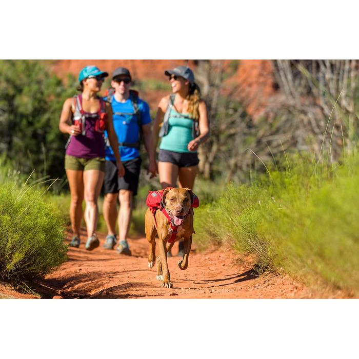 Рюкзак для собак Ruffwear Trinkruckack (Blue Duk) з водою 2x600 мл + Ingletrak Pack 200 мл