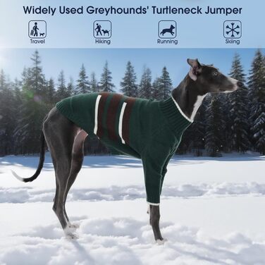 Светр з капюшоном для собаки Windhund, теплий італійський грехаунд, віппет, термо одяг для собак, зелений, XS