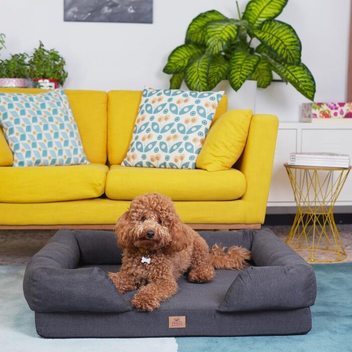 Крісло-ліжко для собак великих порід Ferplast: ортопедичне, з memory foam, 93x73x22,5 см (Сірий, 64x52x17 см)