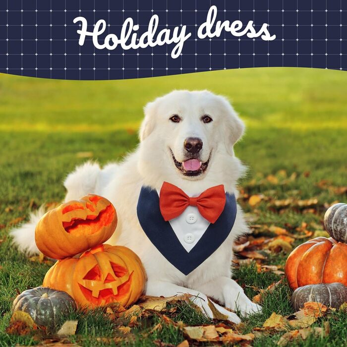 Нашийник для собак Kuoser, святковий аксесуар, великий розмір (L), блакитний