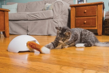 Інтерактивна іграшка для котів PetSafe Fox Den Automatic Cat Teaser