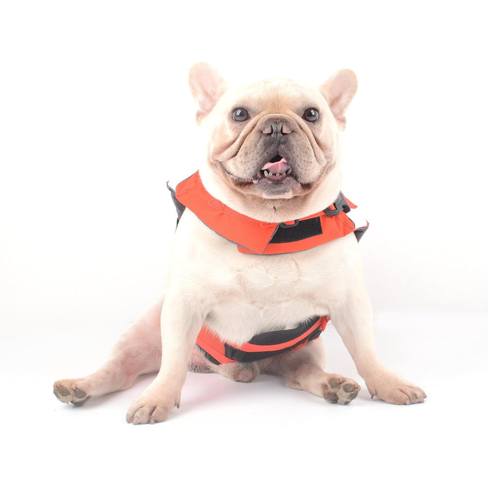 Рятувальний жилет для собак Hifrenchies Французький бульдог, розмір M, дизайн 'Клоун-рибка'