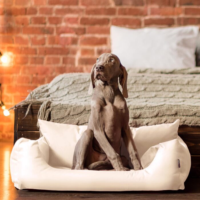 Tierlando® NEMO: собаче ліжко з оксфорду 600D, зручна матрацна вставка та знімний, пральний чохол, для собак малих та середніх порід, розмір 65x50 см, колір: кремовий