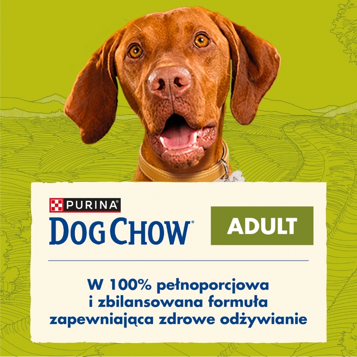 Сухий корм для собак Purina Dog Chow Adult з ягнятиною, 14 кг