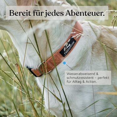 Нашийник для собак Freudentier: м'який, з неопрену, світловідбиваючий, міцний (Sunset Orange, 35-50 см)