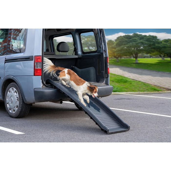 Рампа для собак у багажник авто: складана, 155 см