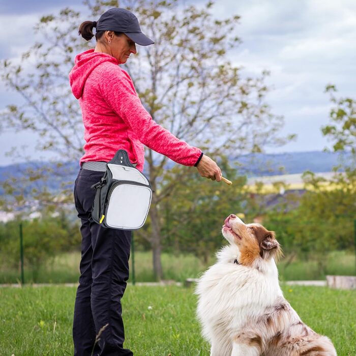 PETCUTE Сумка для тренування собак, міцна сумка для ласощів, сумка для перекусів для собак зі змінним плечовим ременем, поясний ремінь і кліпса (темно-сірий + сірий)