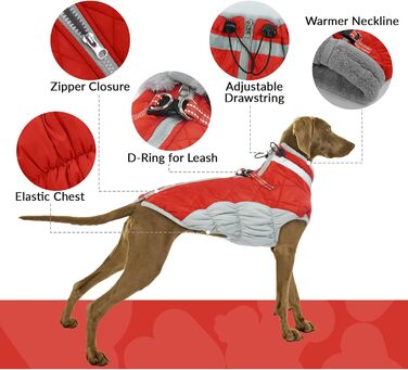 Водонепроникний зимовий теплий одяг для собак: куртка, жилет, пуховик, светр з кільцями D (червоний, 2XL) XXL Червоний