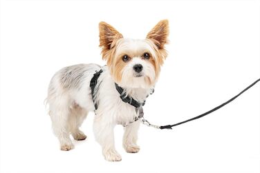 PetSafe 3-в-1 шлея та ремінь безпеки для собак XS, чорна, з анти-ривковим кільцем і фіксацією для авто