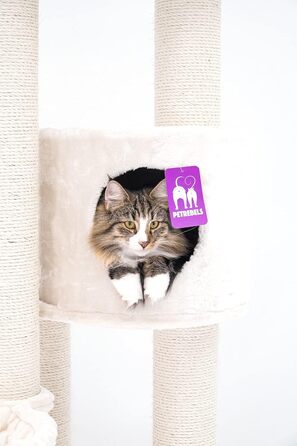 Дерево для котів Petrebels Charlotte 180 см, преміум якість, з гамаком та товстими стовбурами Ø12 см, бежевий/кремовий