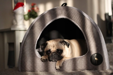 Будиночок для собак та котів LAUREN design BELLA VELVET