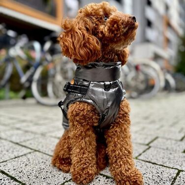 Водонепроникна куртка для собак 2-в-1 зі вбудованим шлейкою – зимова куртка з відбиваючими елементами для собак маленьких, середніх та великих порід – вітронепроникна, зручна та легка у догляді, сіра, розмір S