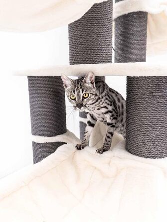 Дряпак для котів Petrebels Skyline XXL, 186 см, для великих котів (Мейн-кун), колір - off-white