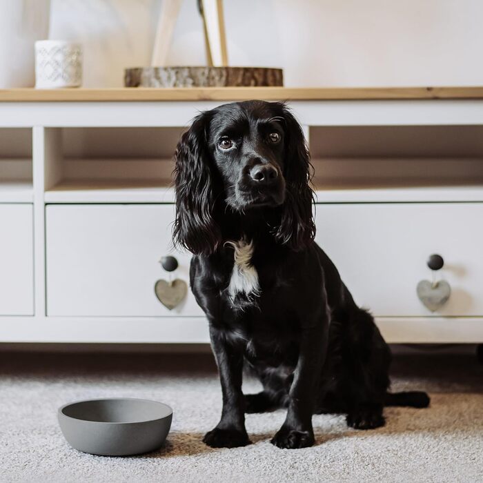 Миска для собак District 70 Bamboo - Темно-сіра, маленька (570 мл)