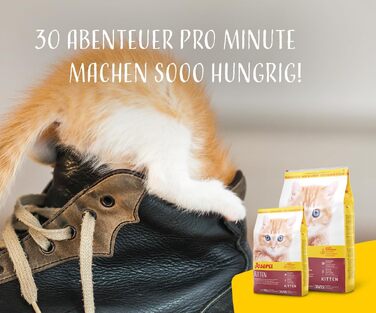 Сухий корм для кошенят JOSERA Kitten з лососем та птицею, 10 кг