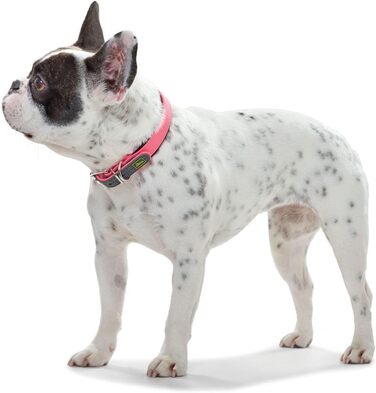 Нашийник для собак HUNTER CONVENIENCE COMFORT, неонове рожевий, з неопреновою підкладкою, стійкий до погодних умов, зручний у догляді, для спорту та відпочинку, розмір 50