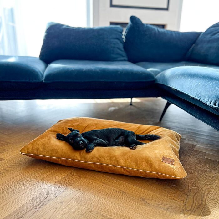 М'яке ліжко для собак середнього розміру, велюрова подушка для собак, 80x50x8 см, зелений колір