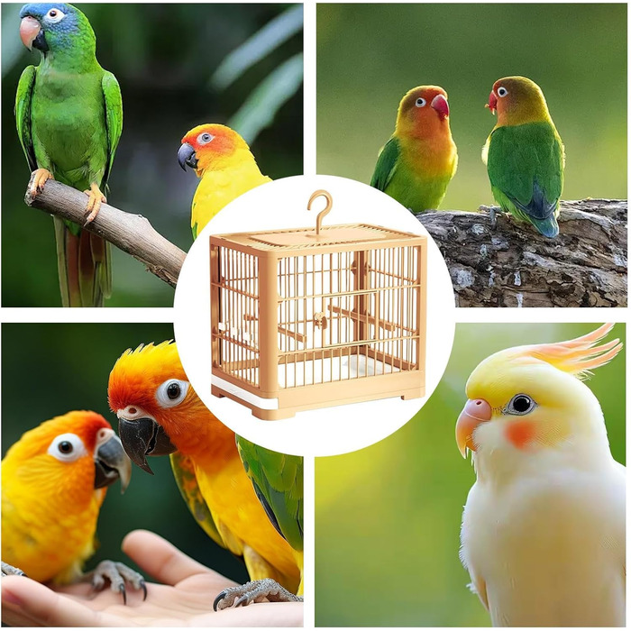 Транспортний клітка для птахів Vogel Reisekäfig: розкладний вольєр для папуг та синиць, з висувною шухлядою та іграшками, зелений (L 32 x B 25 x H 13 см)