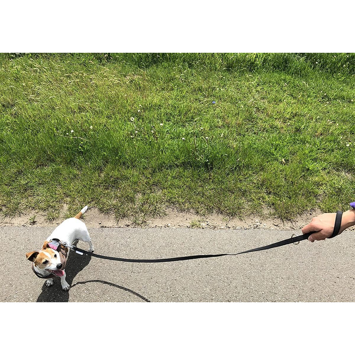 Регульований повідок для собак Twinkys Dog Style, прогумований, 20 мм, 3 м, чорний/червоний, з карабіном безпеки