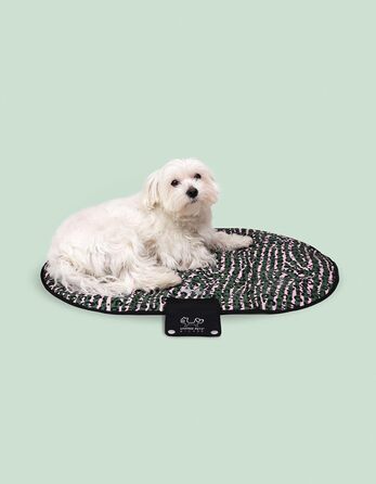 Килимок для собак United Pets Lazy Dog Mat – портативне лежання для собак, складний, для ресторану та подорожей, легкий, чорний/зелений