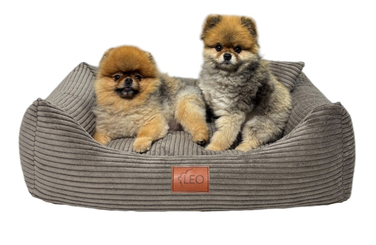 Лежанка для собак Leo4dog з вельвету, знімний чохол для прання, коричнева, розмір M (80x60 см)