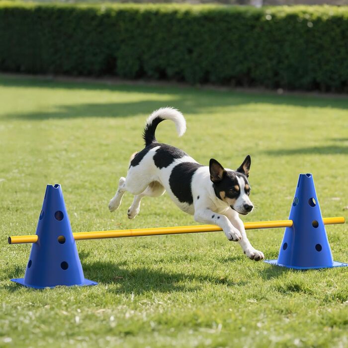 Набір фігур для аджиліті для собак, 12 кілків, 18 стійок, футбольне тренувальне обладнання, сумка в комплекті