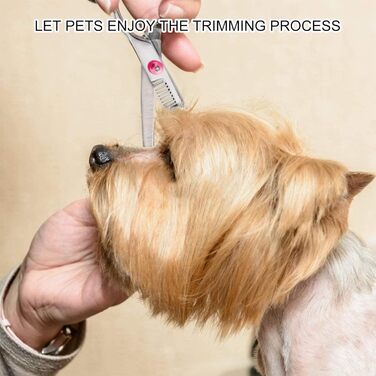 Ножиці для грумінгу собак, ножиці для догляду за шерстю, фінішна ножиця, вигнуті ножиці, з нержавіючої сталі, чорний колір