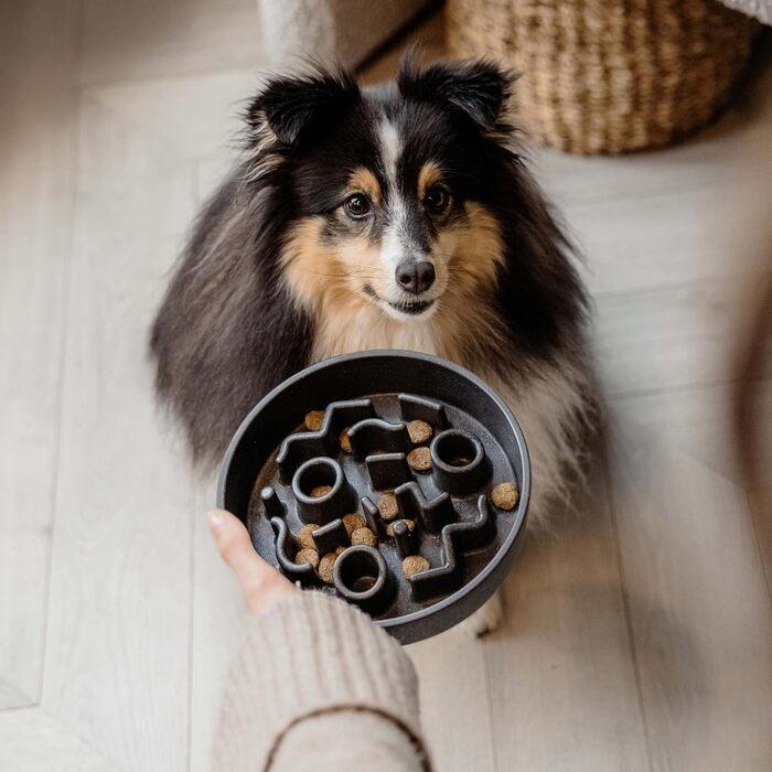 Місцевий район 70 - Повільний годівник для собак з бамбука - діаметр 28 см, висота 17 см (темно-сірий)