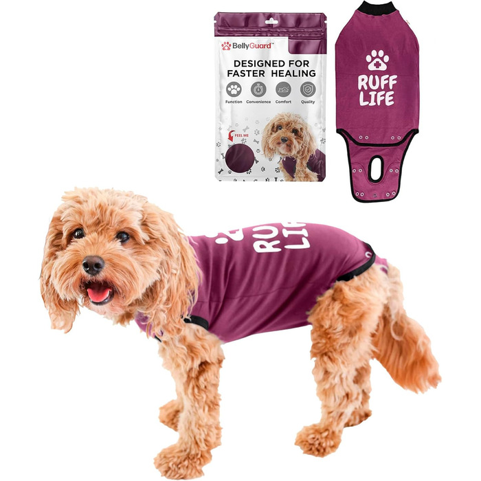 Захисний боді для собак після операції (каштанового кольору, Mini) - для сук та кобелів, альтернатива комірця