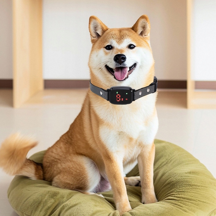 Антитягний нашийник для собак, тренувальний нашийник-пасок