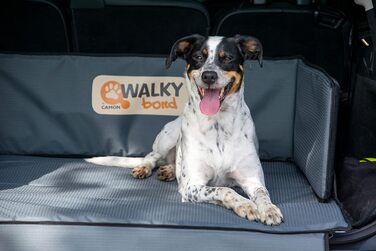 Захист для багажника автомобіля Dobar® XXL - килимок для багажника для тварин, захист від бруду, 100 x 80 x 30 см, антрацит