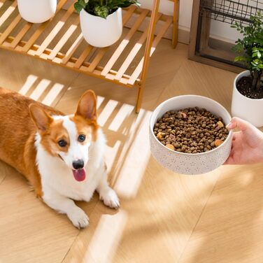 Миска для собак Malacasa з підставкою з горіхового дерева, 450 мл, подвійна миска для собак та котів, для корму та води, неслизька підставка, дизайн у формі п'ятипелюсткового клеверу та соти (1000 мл * 1, п'ятипелюстковий клевер)