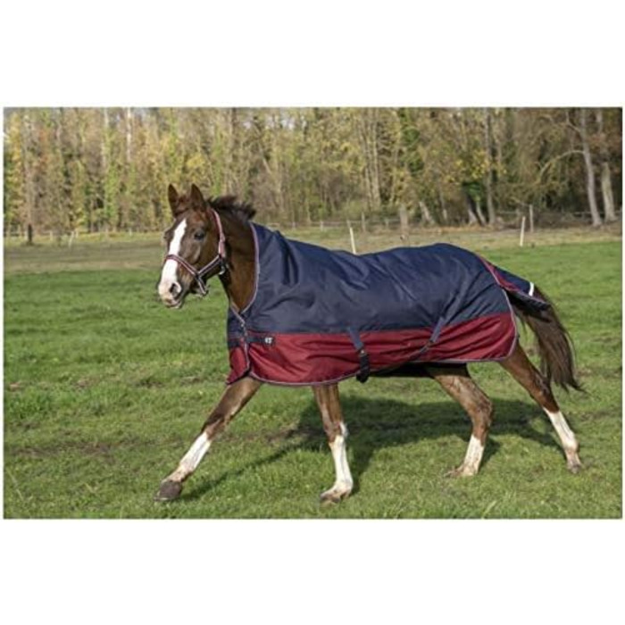 Зимова попона для коня Equi-Theme Highneck 50г, TYREX 1200D, темно-синя/бордова