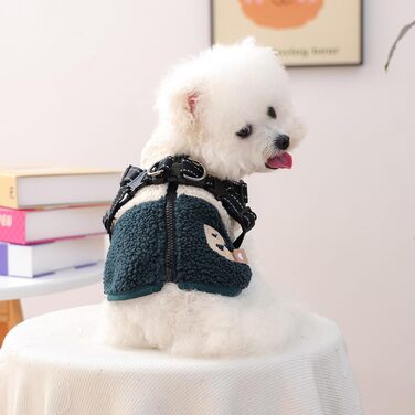 Зимовий теплий одяг для собак, водонепроникний, з підкладкою, з отвором для шлейки, для холодної погоди, для маленьких та середніх собак, зелений/білий