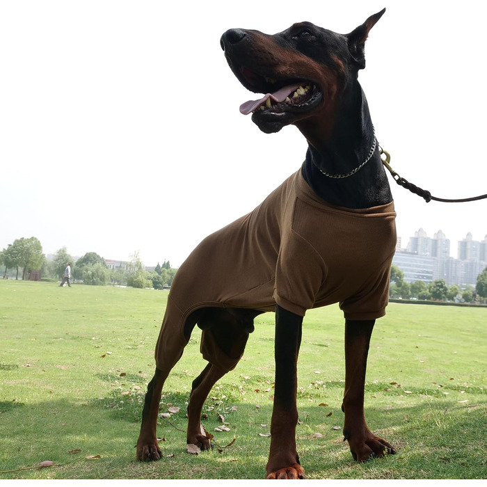 Піжама для собак Lovelonglong, бавовна, в'язана, 4 лапи, для всіх сезонів, теплий боді для собак великих, середніх та маленьких порід, колір кава, розмір L