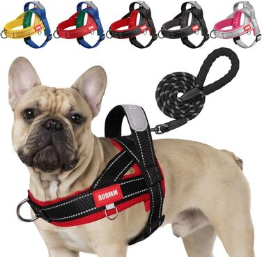 Нашийник для собак середніх та маленьких порід, цуценят, кольоровий, з м'якою підкладкою, з ручкою та кільцем, світловідбиваючий, легкий, чорно-сірий, (M, чорний+червоний)