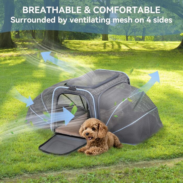 Транспортна сумка для кота та собаки Petsfit, розширювана переноска з плечовим ременем, сумка-переноска для собак та котів, авіапереноска, оксфордська тканина, M, Зелений/Одностороння зелена (Сірий, M/Двосторонній)