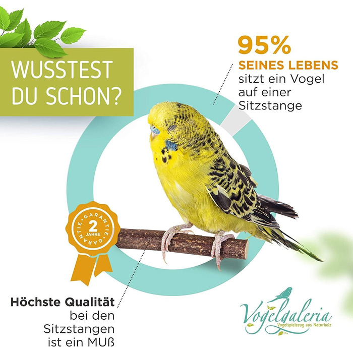 Сидячі жердочки Vogelgaleria для хвилястих папуг, набір пробних натуральних дерев'яних жердочок для клітки