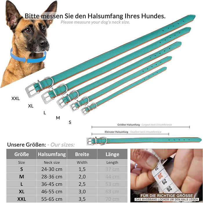 Шкіряне нашийник для собак Fun Line - великий, середній та маленький розмір - м'який та міцний (M, 28-36 см, Турквіз-Коричневий)