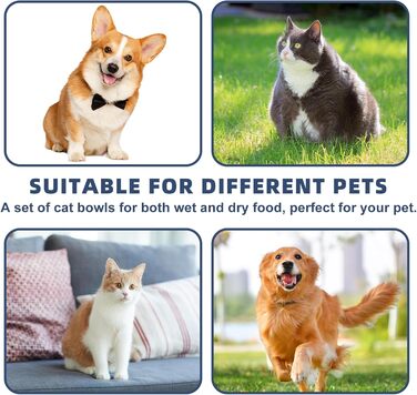Набір мисок для котів з кераміки, 6 шт. - плоскі миски для котів та дрібних тварин, сучасний дизайн