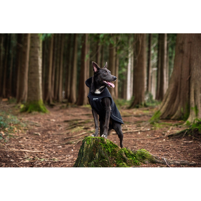 Утеплений дощовик для собак Mountain Paws, розмір S