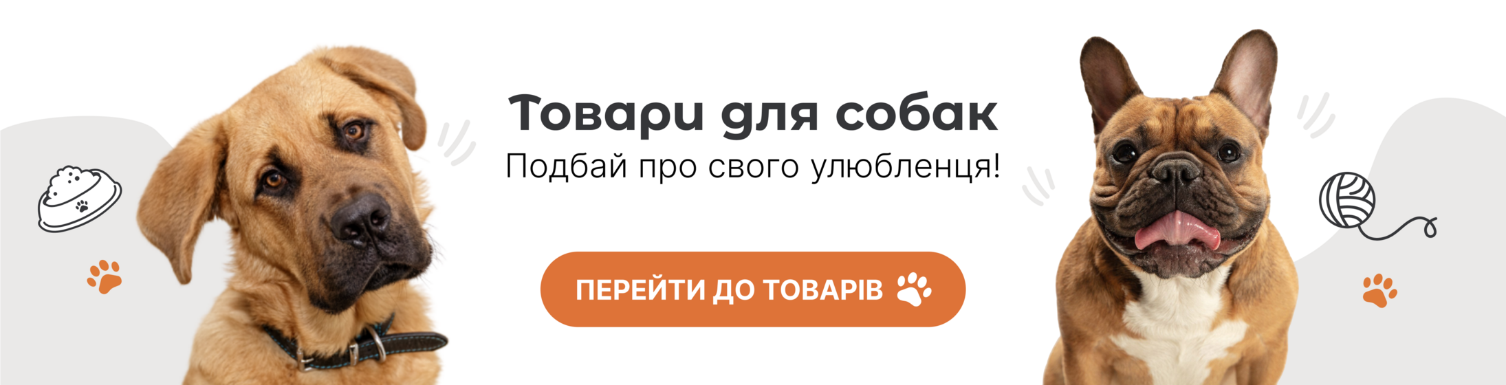 Собаки